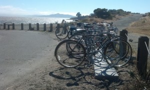 These racks that AS&R bought are perfectly situated for folks who want to enjoy the beach, a hike or just enjoy the beautiful view. Help clean up the Bulb to make it more enjoyable!