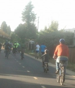 Community Meeting re. Safe Travel on Ohlone Greenway @ Albany Senior Center | Albany | California | United States