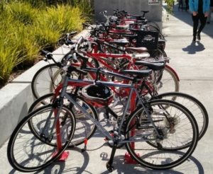 Bike to School Day! @ Albany Schools